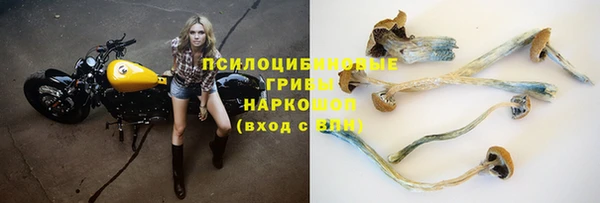 spice Абдулино