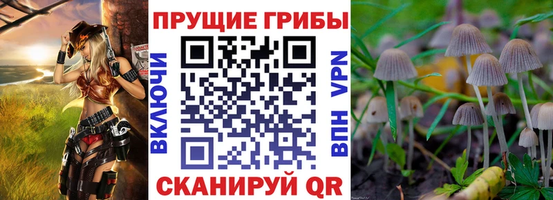 Галлюциногенные грибы Psilocybine cubensis  OMG ссылка  Энем 